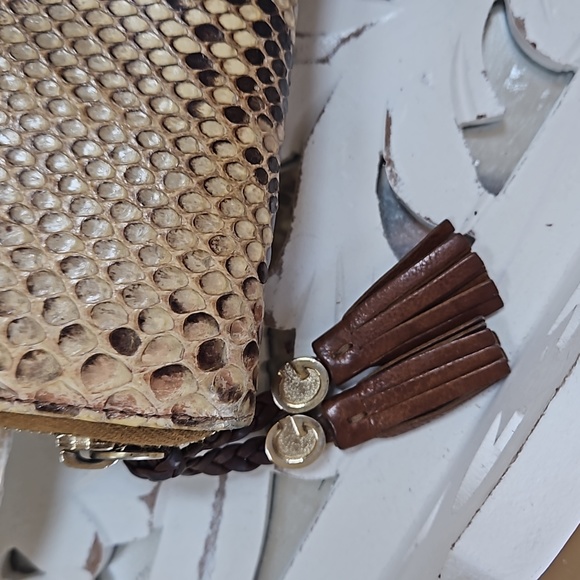 Gucci Phyton Continental wallet in great condition - Picture 2 of 3